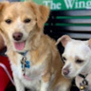 Meet your Posher, Kevin